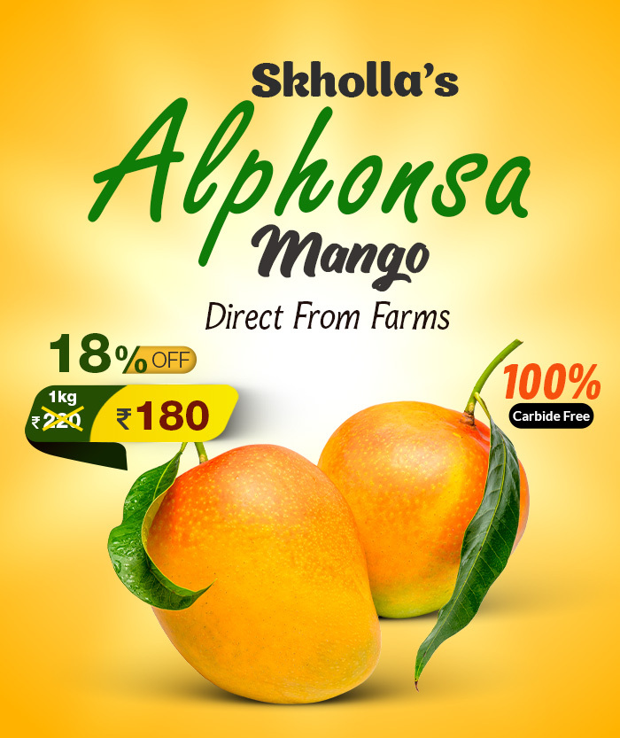 Alphonsa Mango online fruits shopping in chennai