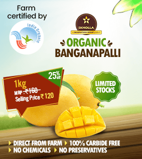 Organic Banganapalli mango