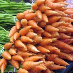 Carrot Pack of 1 Kg