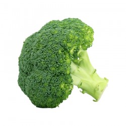 Broccoli 1 Kg pack