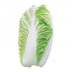 Chinese cabbage 1 Kg