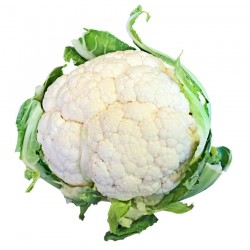 Buy Cabbage 1 Piece Online In Chennai