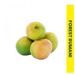 Buy 1kg Forest Rumani Mango Online In Chennai