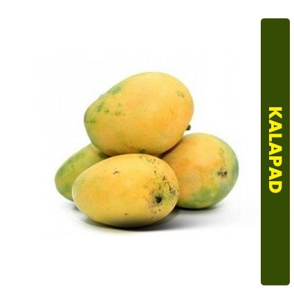 1655540773buy-kalapad-rumani-1Kg-mango-online-in-chennai_medium