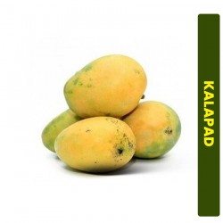 Buy 1kg Kalapad Mango Online In Chennai