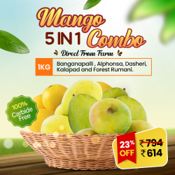 Buy Mango 5 in 1 Combo Online In Chennai