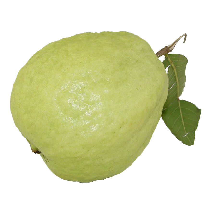 Buy Guava Pack of 1 KG Online In Chennai